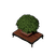 Bonsai