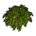 Arbre décoratif bambou C