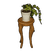 イス付き観葉植物