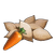 Semi di carota