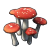 Champignon